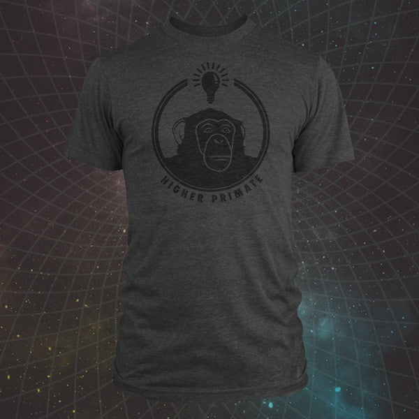 Lightbulb Chimp
